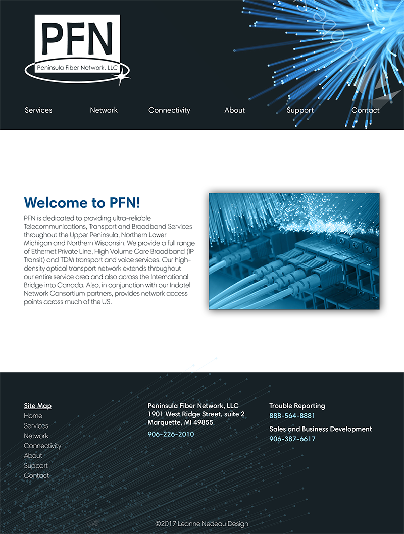 PFN page mockup