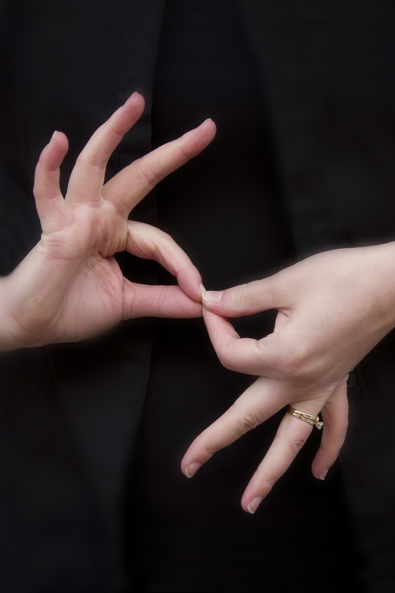 ASL Sign for Interpreter
